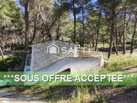 Propriété de 10.000 m2 avec Dépendances et chalets