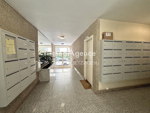 photo no. 6