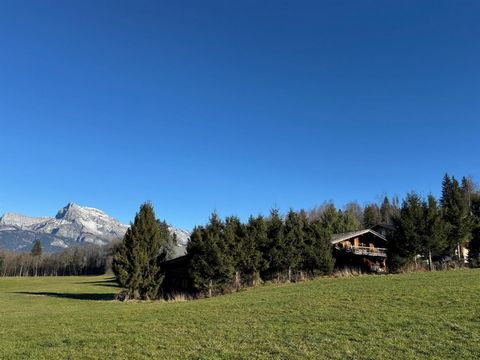 Chalet typique,et terrain constructible