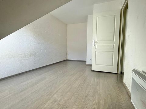 photo no. 7