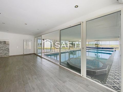 photo no. 16