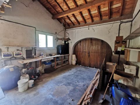 photo no. 18