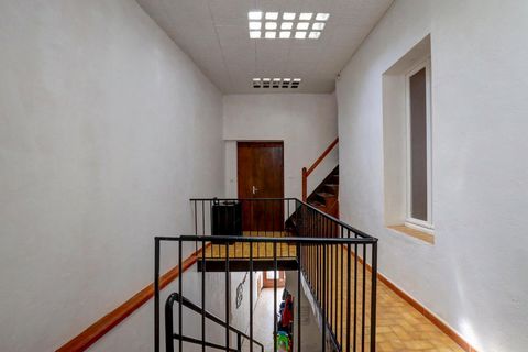 photo no. 10