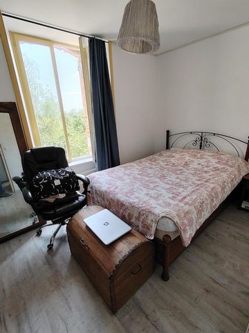 photo no. 12