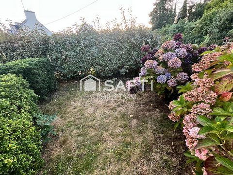 photo no. 16