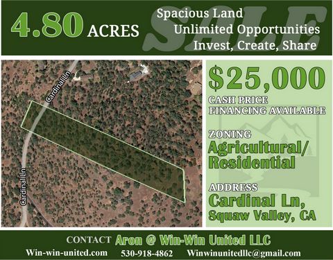 Located in Squaw Valley. Start Anew on these 4.80ac in Squaw Valley, Selling 50% Below Value ~~ Contact Aron @ Win-Win United LLC to learn more: 530-918-4862, winwinunitedllc@gmail.com, win-win-united.com ~~ WHY BUY?: #1. Gorgeous views of the Sierra...