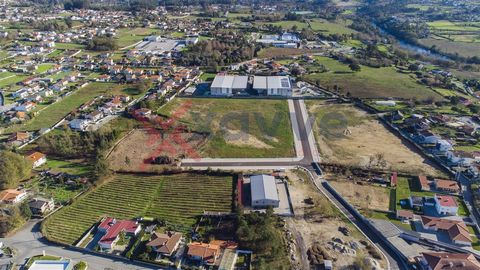 NEW pavilion under construction, Figueiredo. - Lot Area (9): 1.711.80m2 - Deployment area: 900m2 - Gross Construction Area: 975m2 - Right foot: 7.5m apx. Space for industrial activity, inserted in a new Industrial Park, with new and good access and p...