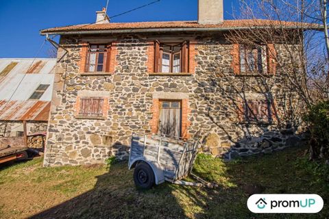 This 4-room house of 60m ², in good condition, has three bedrooms, a basement and convertible attic. It is located in Pailherols, a charming village well located in the Cantal mountains. Here, holidaymakers come to enjoy the many trails and landscape...