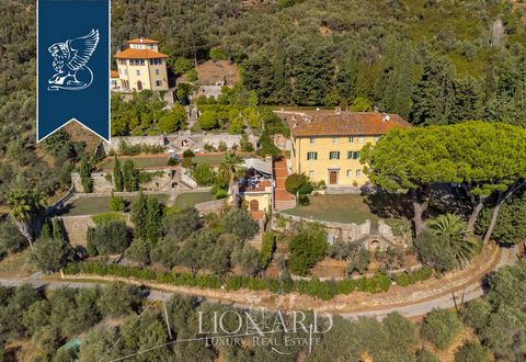 Parmi les collines verdoyantes de la célèbre Versilia, cette villa de luxe historique est à vendre. La villa a un jardin privé en terrasses bien entretenu de 65 000 m2, une luxueuse piscine, solarium, une splendide oliveraie de 450 oliviers, une gran...