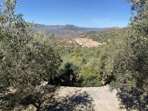 Rural land of 8.698sqm located less than 10 minutes from the town of Lanjarón, in the Alpujarras of Granada. With good access, practically all paved. Currently it is completely planted with fruit trees in production. Mainly there are avocados and oli...