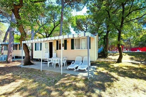 Great location: caravan park in the wooded area of a fifty hectare natural park on the Grado lagoon. Each of the practically furnished mobile homes has its own parking space. Young and old can refresh themselves in the 300 square meter pool, with the...