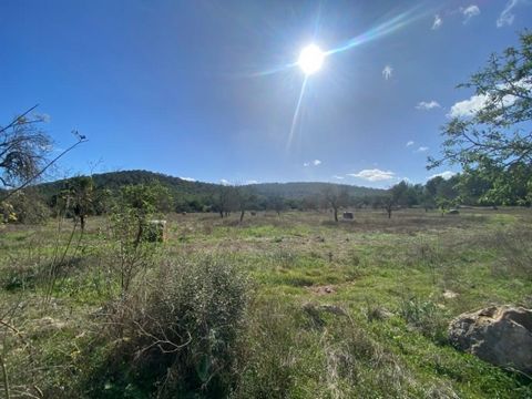 Very rare opportunity to create your own heaven on Ibiza ! A blank canvas to build an amazing family home in the beautiful hills of San Rafel. Central on the island we offer this amazing plot of 135.000 m2 overlooking the tranquil planes of the rural...