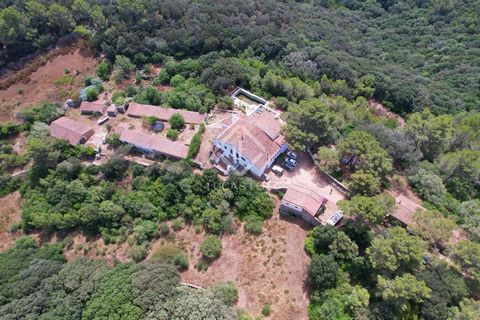 This impressive ecological rustic building has a main house of 500 m² built on one of the highest points of the island, from where you can see the sea and Monte Toro, plus another 475 m² of annex buildings on a plot of almost 97.2 hectares, and that ...