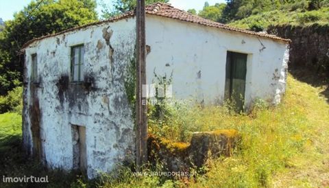 Land oara sale, with haystack, own water and 3 800 m2 of land. Good hits. Tarouquela, Cinfães. Ref.: MC06268 FEATURES: Land Area: 3 800 m2 Area: 3 800 m2 Useful Area: 3 800 m2 Energy Efficiency: Exempt ENTREPORTAS Founded in 2004, the ENTREPORTAS gro...