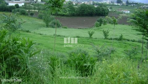 Land for sale with area 7.500 m2 and possibility of construction. Situated in the center of the city with good access. Freixo de Baixo, Amarante. Ref.:MC03318 FEATURES: Land Area: 7 500 m2 Area: 7 500 m2 Useful Area: 7 500 m2 Energy Efficiency: Exemp...