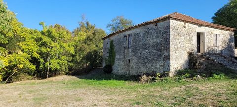Magnificent renovation project for this stone hamlet house located a few minutes from Montaigu de Quercy on land of approximately 4 hectares, including approximately 1 hectare of woods. With a view of the valley, this house is just waiting for you to...