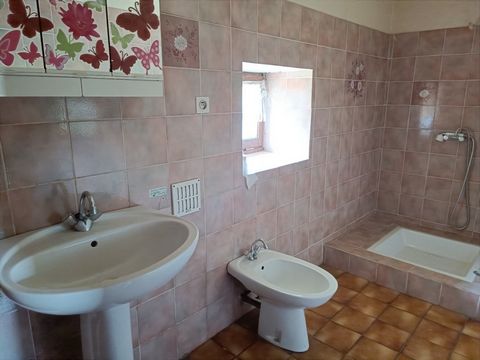 photo no. 14