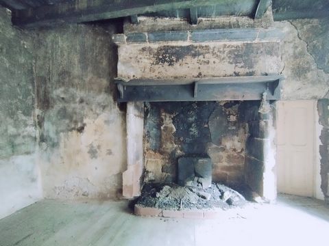 photo no. 13