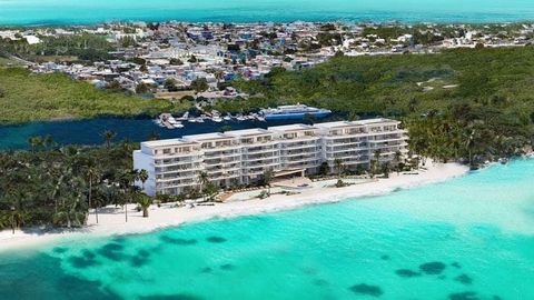 Een exclusieve vastgoedontwikkeling met luxe penthouses, residenties en tuinhuizen te koop in Isla Mujeres. De ontwikkeling omvat de volgende voorzieningen: lobby, dompelbad, wasserette, terras, restaurantlounge, sociale club, speelkamer, zwembad, ki...