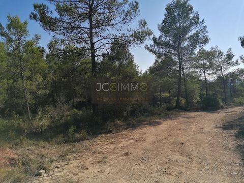 Located in the charming town of Sainte-Anastasie-sur-Issole, this flat plot of 2,400 m2 is located in a natural area, offering a peaceful and green setting. Facing south, it benefits from excellent light throughout the day. This flat lot is ideal for...