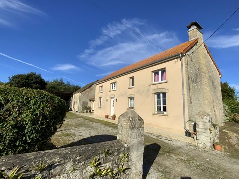 NIEUW LA BONNE ADRESSE!   Vestig u in HAUTTEVILLE-BOCAGE, in deze mooie boerderij gelegen in een bevoorrechte omgeving met zijn privébossen, op 10 minuten van VALOGNES.   Het is volledig gerenoveerd en biedt nog steeds mogelijkheden en bestaat uit:  ...