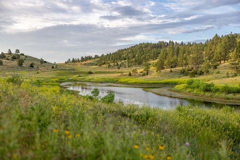 Willkommen am Turkey Track Pond, wo 47,14 Hektar natürliche Pracht auf Ihre Erkundung warten. Dieses außergewöhnliche Anwesen zeichnet sich durch sein Herzstück aus: einen großen, bestückten Teich, der als Ruheoase inmitten der Landschaft dient. Vom ...