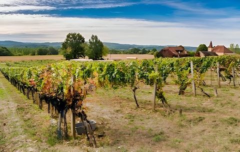 LOT DOMAINE VITICOLE AOC CAHORS 19 HA - Magnifikt vinslott på mark tillägnad vinstockar, i Malbecs vagga, inom AOC Cahors. Fastigheten består av en fantastisk stenherrgård från 1800-talet, perfekt bevarad, en vinkällare och ett utrymme för konserveri...