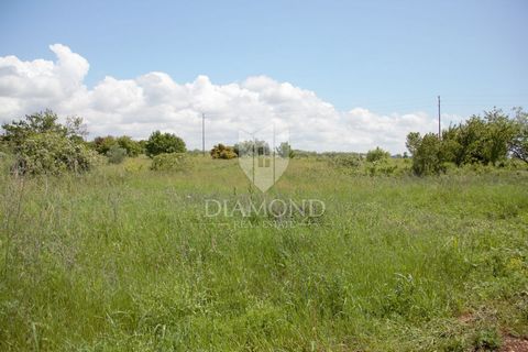 Location: Istarska županija, Novigrad, Novigrad. In the area of the City of Novigrad intended for tourist activities and in the immediate vicinity of existing hotels, we find this spacious T2 * building plot. * Construction areas of economic - cateri...