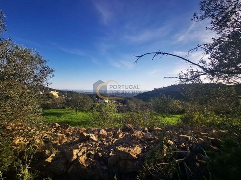 Excellent terrain rustique avec de fabuleuses vues à 360º, vue sur la mer et la montagne, endroit très agréable où la nature est vivante.