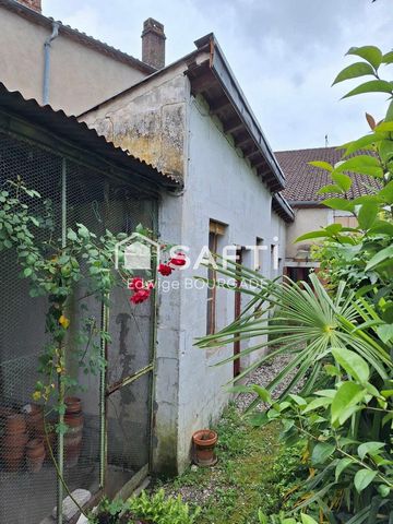 photo no. 15