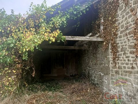 photo no. 3