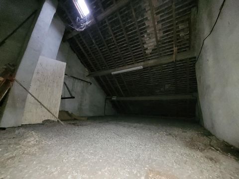 photo no. 15