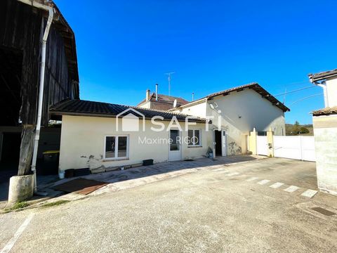 photo no. 11