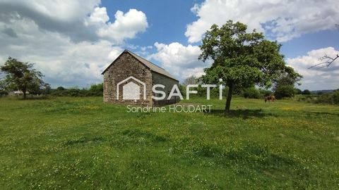 photo no. 9
