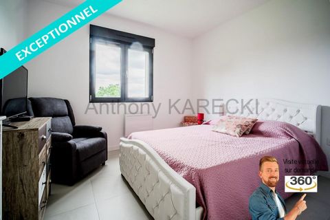 photo no. 13