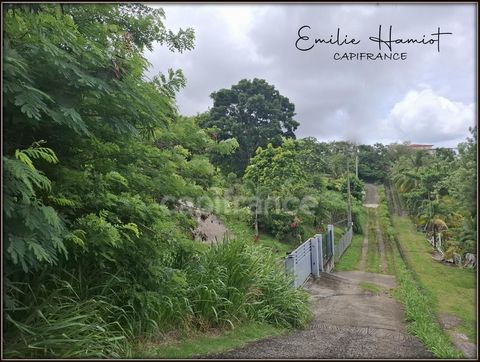 A vendre Terrain de 696m² - Case-Pilote