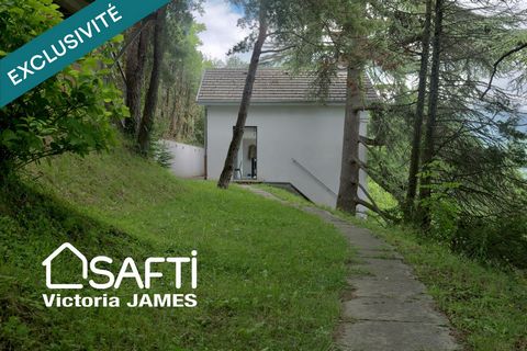photo no. 10