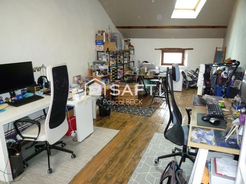 photo no. 12