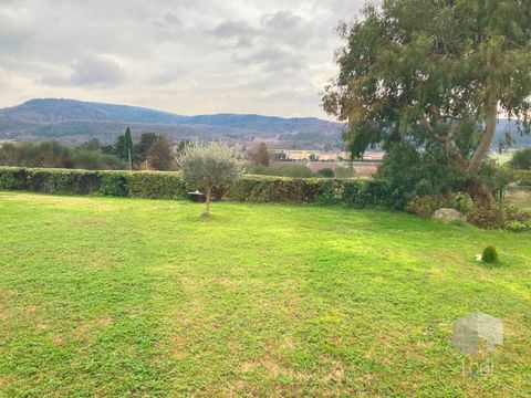 photo no. 10