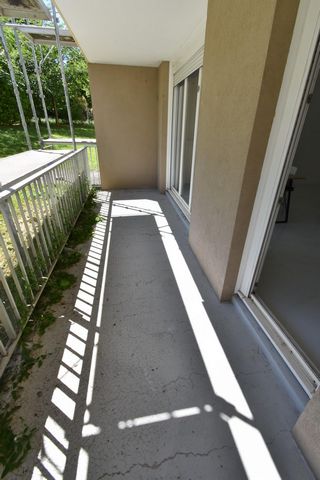 photo no. 6