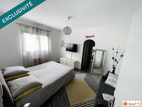 photo no. 11