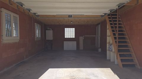 photo no. 11
