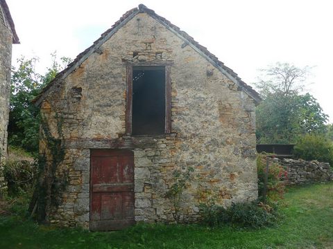 photo no. 17