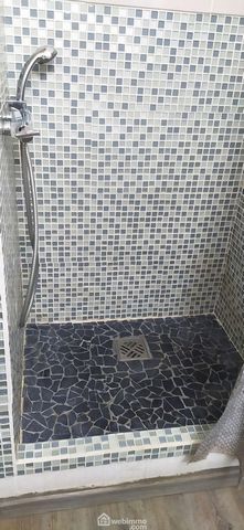 photo no. 18