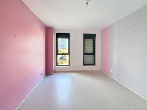 photo no. 8