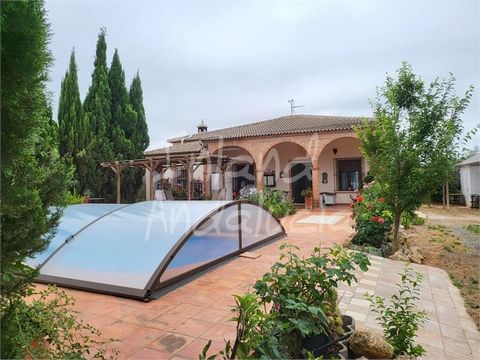 Esta encantadora villa estilo chalet se encuentra a solo 2 minutos de Casariche, en la provincia de Sevilla, Andalucía, España. Si bien se encuentra en una zona rural con una generosa parcela de 8.599 m², está a solo 5 minutos de la autopista, con ac...
