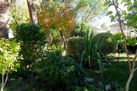 photo no. 16