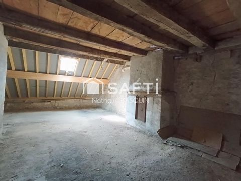 photo no. 9