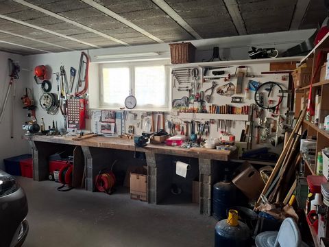 photo no. 13
