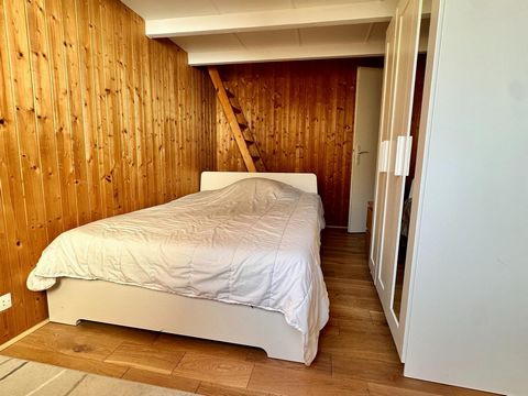 photo no. 8